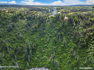 12643 Snowberry Rd, Willow, AK 99688 - photo 3