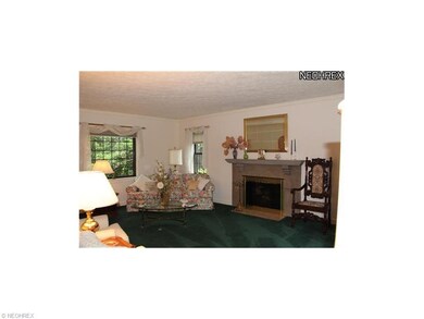 Formal living room with 1 of 3 fireplaces in this 