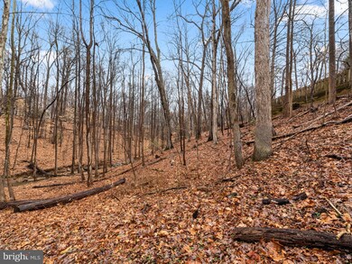 9726 Baltimore Ave, Laurel, MD 20723 - photo 7