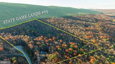 370 Kalers Loft Ln, Crystal Spring, PA 15536 - photo 6