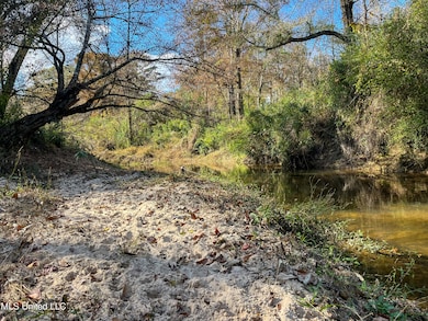0 80 8 Acres, Carthage, MS 39051 - photo 4