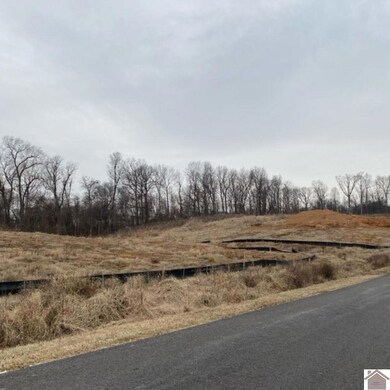 647 Elmdale Rd unit Lot 10, Paducah, KY 42003 - photo 4