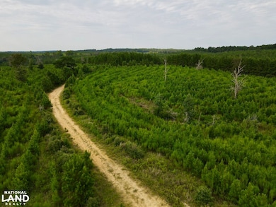 0 Neely Avera, Neely, MS 39461 - photo 4