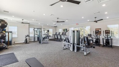 Exercise room featuring ornamental molding and ceiling fan