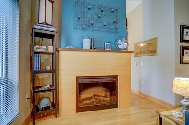 19 S Broom St unit 104, Madison, WI 53703 - photo 6