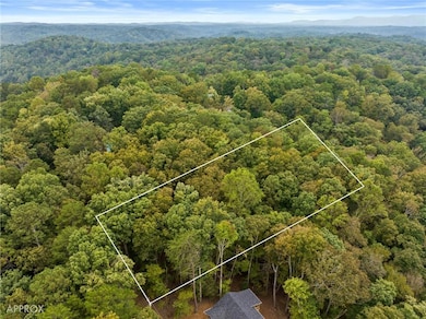 0 Pamela Ct unit 7655875, Ellijay, GA 30540 - photo 6