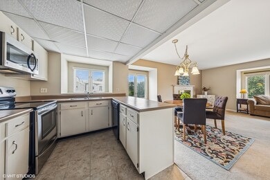 75 6th Ave unit 301, La Grange, IL 60525 - photo 3