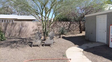 Back yard