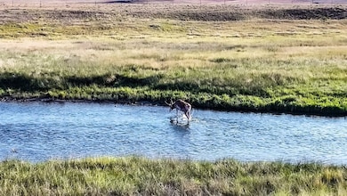 9173 Highway 24, Hartsel, CO 80449 - photo 7