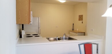 1802 Plum Grove Rd unit 2D, Rolling Meadows, IL 60008 - photo 6