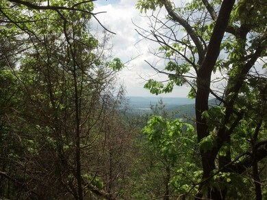 View #2