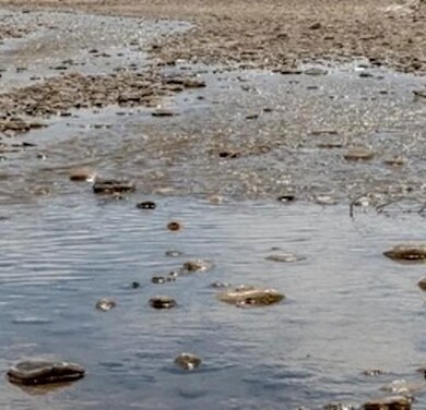 Financing Miningclaim Ownership, Minden, NV 89423 - photo 6