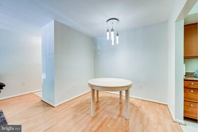 10720 West Dr unit 204, Fairfax, VA 22030 - photo 7