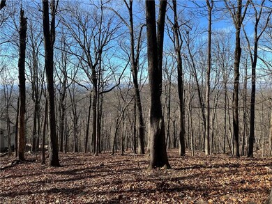 This 1.34 lot has great winter views and should accommodate any floor plan that meets the restrictions of the community.