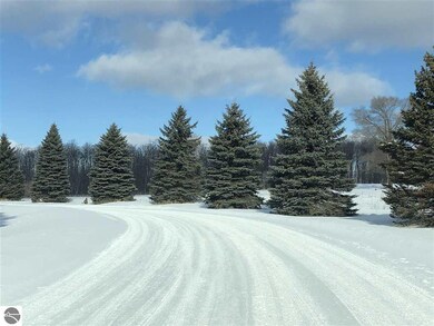 8314 Boca Vista Trail unit 2, Elmwood Charter Township, MI 49684 - photo 3