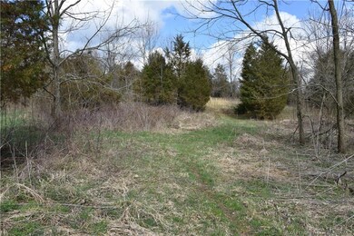 0 Old Vincennes Rd unit 2019011644, Greenville, IN 47124 - photo 2