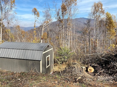 999 Bear Springs Rd unit QQ, Bakersville, NC 28705 - photo 5