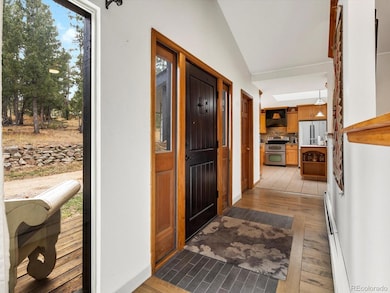 26994 Grey Moose Trail, Conifer, CO 80433 - photo 6