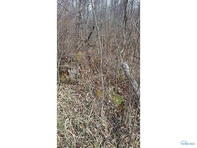 Land. Stream and natural look of property