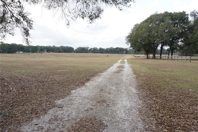 00 (TBD) NE 141st St, Citra, FL 32113 - photo 5