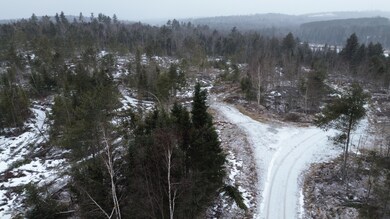 DJI_0444