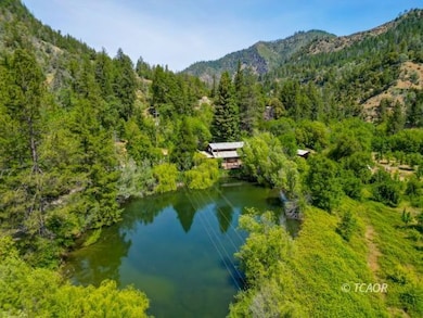 Home and Pond