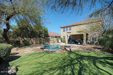 backyard1_700.jpg