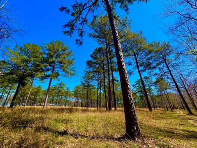 2714 County Road 54, Ozark, AL 36360 - photo 6