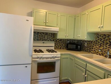 Ticia newer gas range