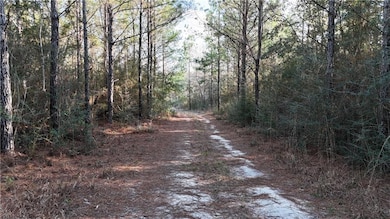 588 A Old Highway 26, Perkinston, MS 39573 - photo 7