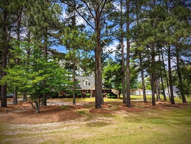 Westward View into the Tract from HWY 313