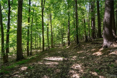 29592-596 Maple St unit 596, Black River, NY 13612 - photo 6