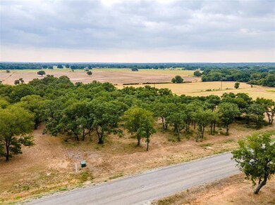 128 Lazy Bend Rd, Hudson Oaks, TX 76087 - photo 4