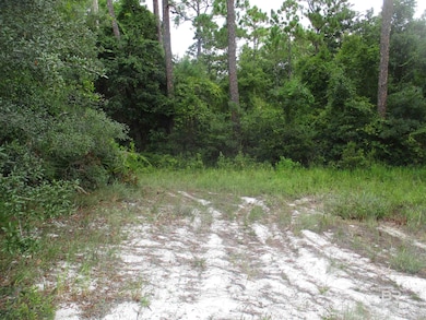 0 State Highway 180 unit 384070, Gulf Shores, AL 36542 - photo 5