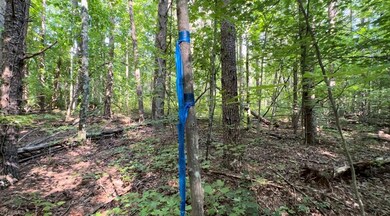 TBD-1 Peter Mabe Rd, Danbury, NC 27016 - photo 6