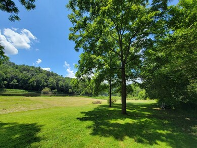 TBD Riverside Dr, Independence, VA 24348 - photo 4