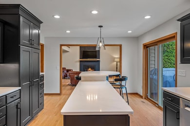 Abundance of Cabinets & Counter Space