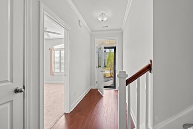 Entryway with crown molding, plenty of natural light, dark wood-style flooring, and ceiling fan