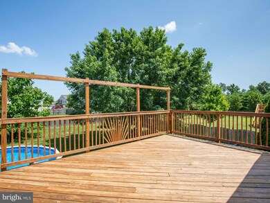 1677 Macedonia Church Rd, Stephens City, VA 22655 - photo 7