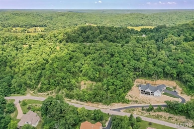 4495 Kingfisher Ct, Augusta, MO 63332 - photo 3