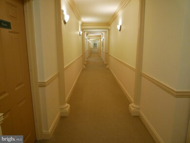 7325 Brookview Rd unit 207, Elkridge, MD 21075 - photo 7