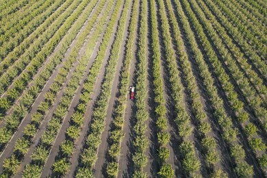 0 W Springfield Ave, San Joaquin, CA 93660 - photo 5