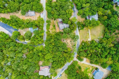 Lot 43 Walnut Ln, Pottsboro, TX 75076 - photo 4