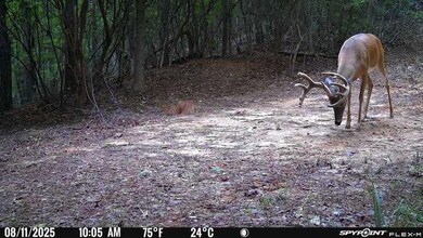 0 Canyon Rd, Lumpkin, GA 31815 - photo 3