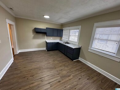 1816 Saint Charles Ave SW, Birmingham, AL 35211 - photo 5