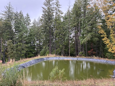 0000 Saber Tooth Rd, Willow Creek, CA 95525 - photo 2