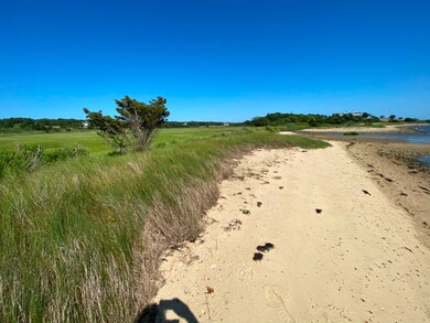 10 Mead Ln, Edgartown, MA 02539 - photo 6