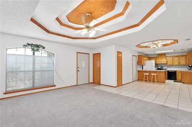 903 Katrin Dr, Alamo, TX 78516 - photo 3