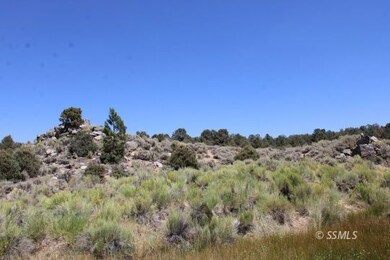 0 Kennedy Meadows Rd unit 2607468, Unincorporated, CA 93527 - photo 7