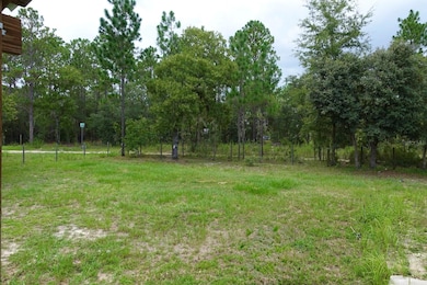 4299 SW 190th Ct, Dunnellon, FL 34432 - photo 3
